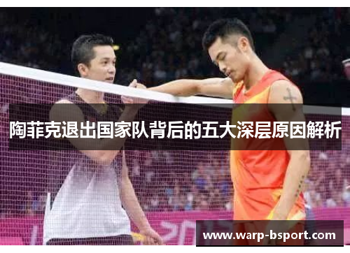 陶菲克退出国家队背后的五大深层原因解析 陶菲克退出国家队背后的五大深层原因解析