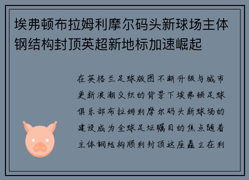 埃弗顿布拉姆利摩尔码头新球场主体钢结构封顶英超新地标加速崛起 埃弗顿布拉姆利摩尔码头新球场主体钢结构封顶英超新地标加速崛起